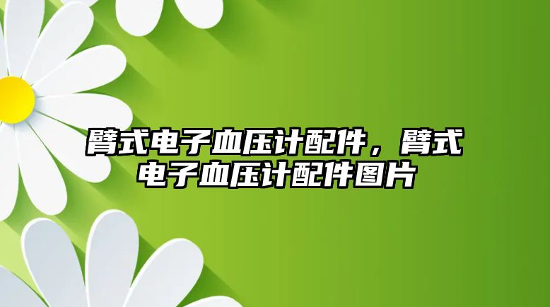 臂式電子血壓計配件，臂式電子血壓計配件圖片
